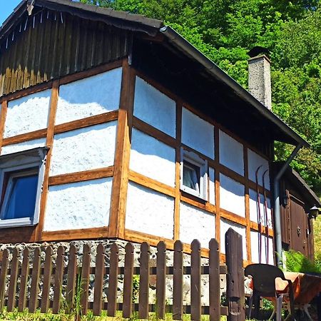 Arode Huette Harzilein - Romantic Tiny House On The Edge Of The Forest Zorge Eksteriør bilde