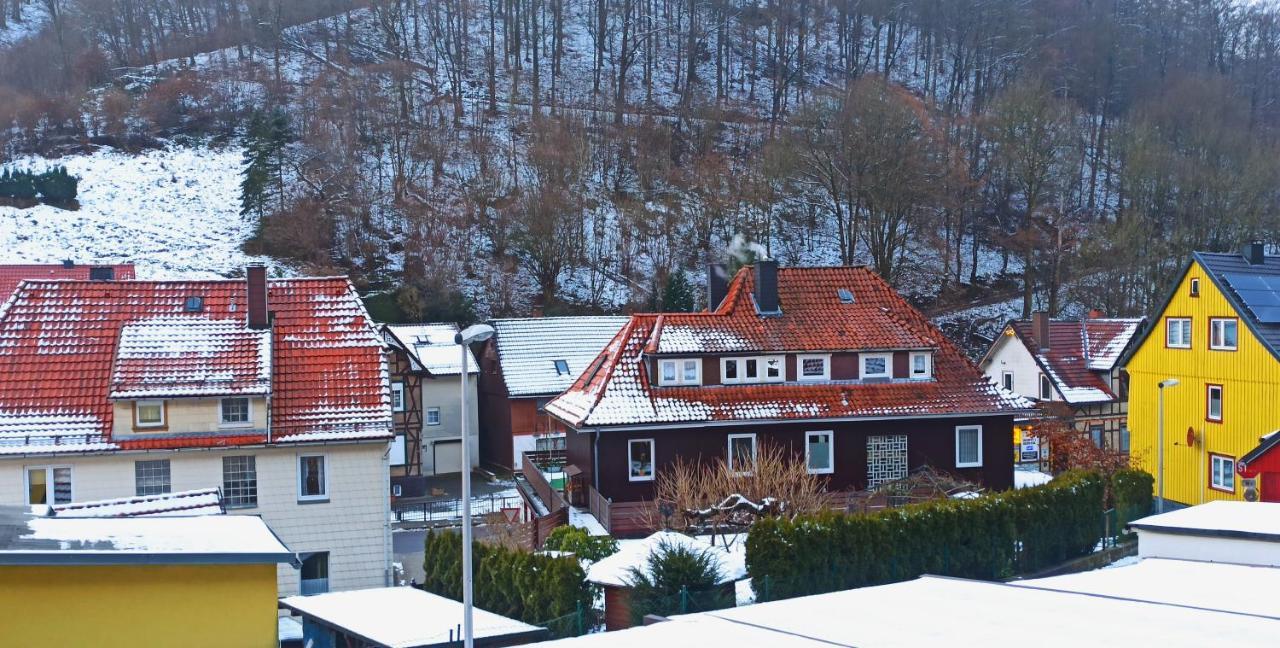 Arode Huette Harzilein - Romantic Tiny House On The Edge Of The Forest Zorge Eksteriør bilde
